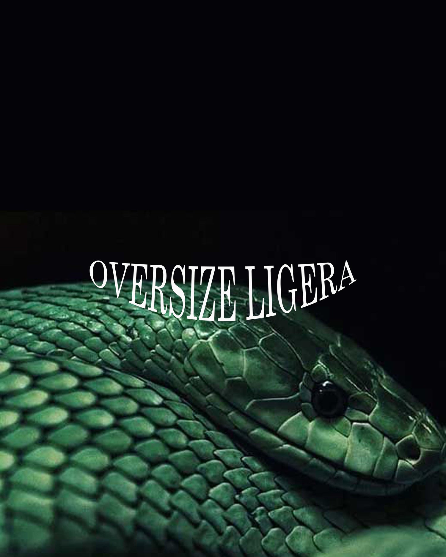 OVERSIZE LIGERAS